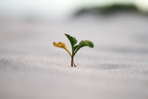 L'IA pour les formateurs
